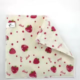 Fiber Thickened Dishcloth & Scouring Pad