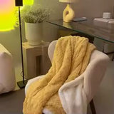 Winter Lamb Wool Double-Sided Flannel Blanket